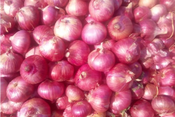 Http krmp.cc onion market 4523 page skiftm